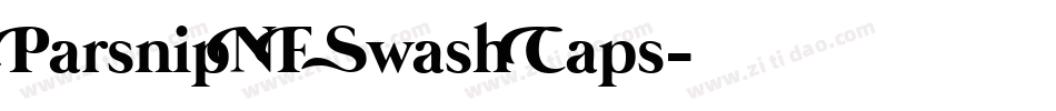 ParsnipNF Swash Caps字体转换